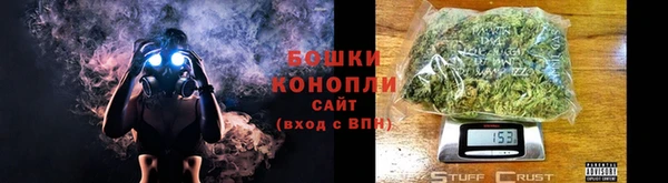твердый Богданович