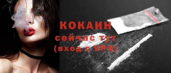 твердый Богданович