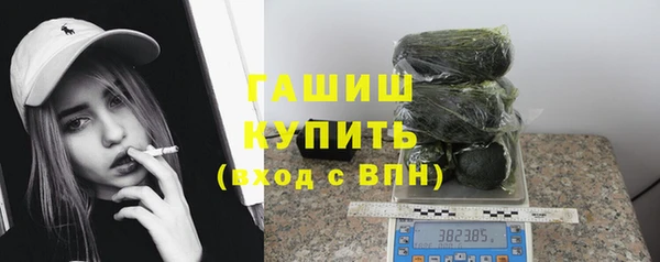 дживик Богородицк