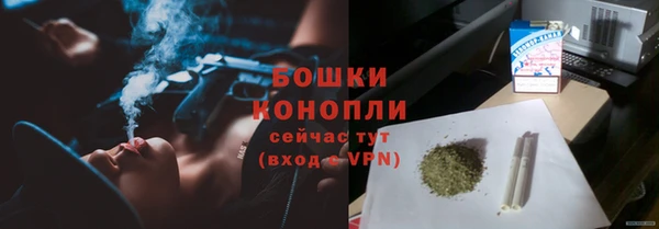 сатива Богородск