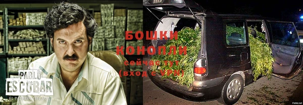 сатива Богородск