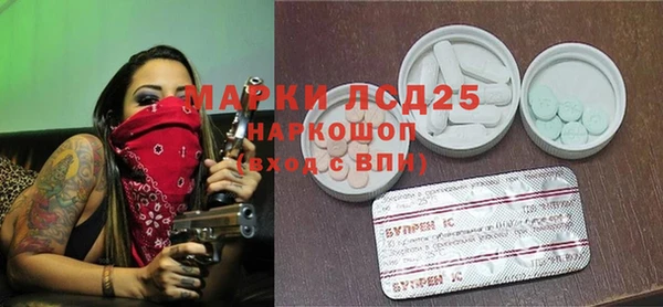 дживик Богородицк