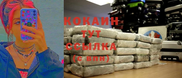 дживик Богородицк