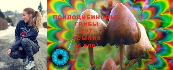 тгк Надым