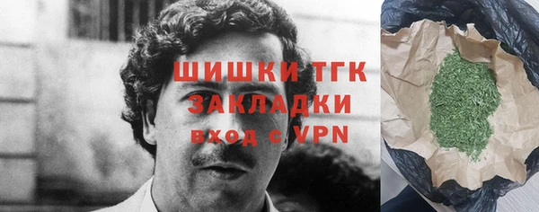 твердый Богданович