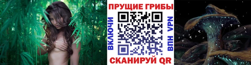 Псилоцибиновые грибы MAGIC MUSHROOMS Нарткала